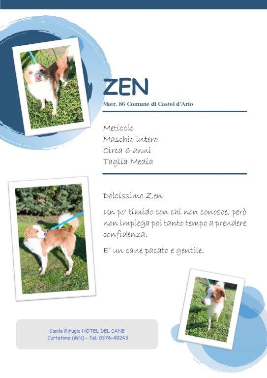 MATR 86 ZEN page 0001