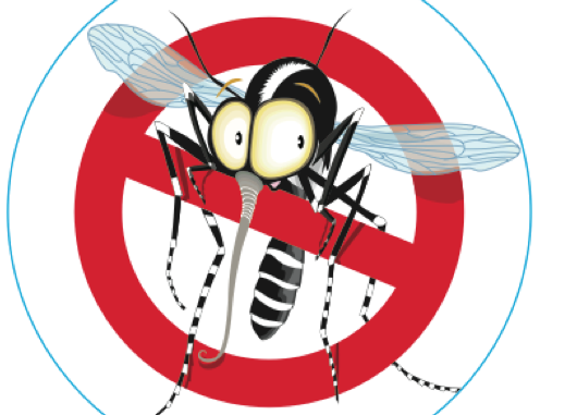 disinfestazione zanzare 530x381
