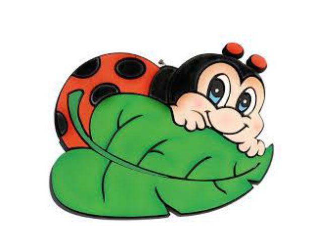 le coccinelle