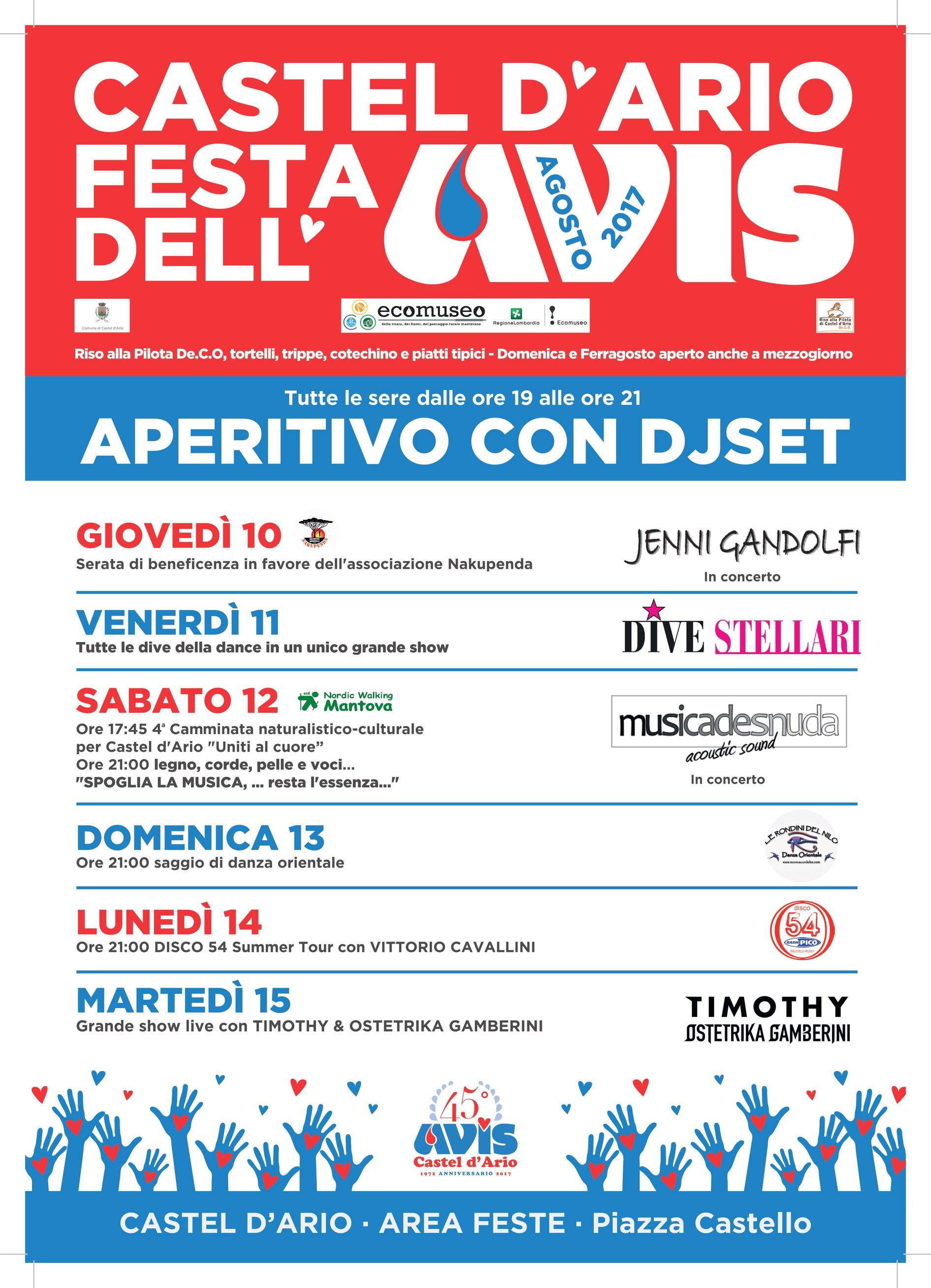 festa avis